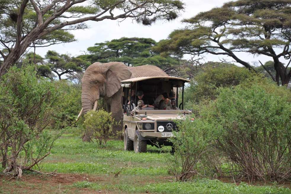 2-Day Tarangire & Manyara